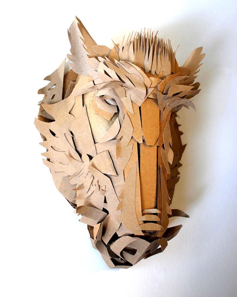 Boar