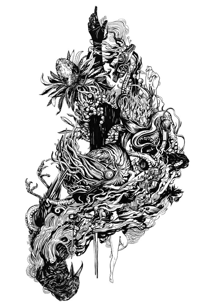 Nautilus