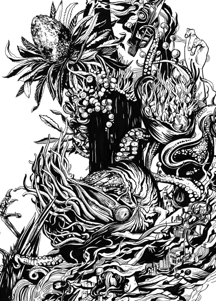 Nautilus